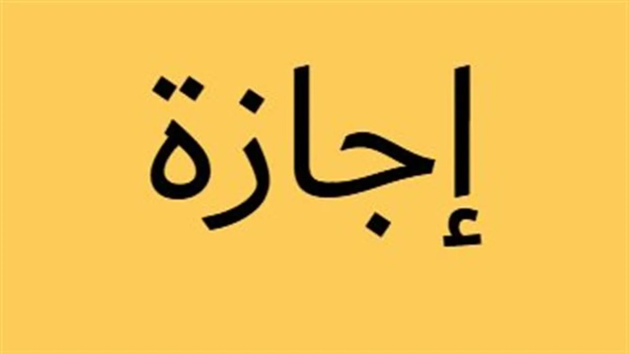 عطلة خاصة.. تفاصيل إجازة ذكرى 30 يونيو للقطاعين بمصر